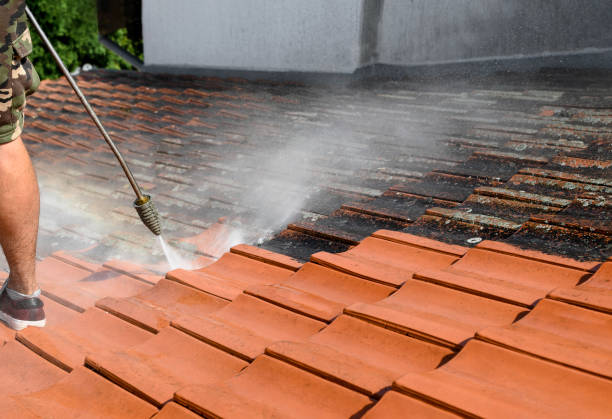Best Pressure Washing Services Near Me  in Paoli, IN