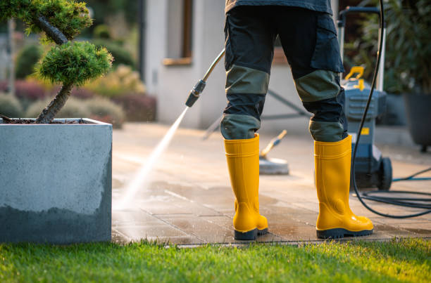 Best Pressure Washing Services for Businesses  in Paoli, IN